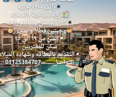 العين السخنه