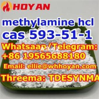 cas 593-51-1methylamine hcl safe delivery +86 19565688180