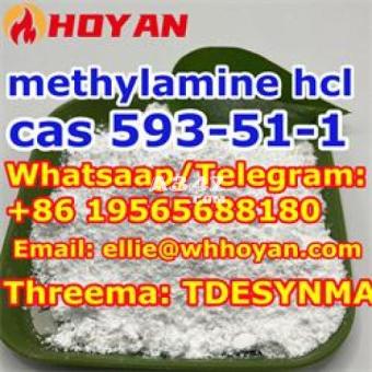 cas 593-51-1methylamine hcl safe delivery +86 19565688180 - 2/2