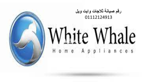 مركز صيانة ديب فريزر White Whale المنصورة 01095999314