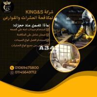 شركة KING&Sلمكافحة الحشرات والقوارض بمصر01069475800