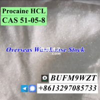 Signal +8613297085733 Warehouse delivery CAS 51-05-8 Procaine HCL