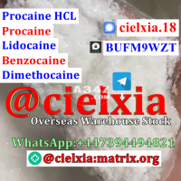 Telegram@cielxia Fast Delivery Procaine CAS 59-46-1/CAS 94-09-7 Benzocaine