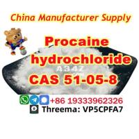 PROCAINE CAS 51-05-8 cas 59-46-1 Manufacturer Supply Best Price Security Clearance