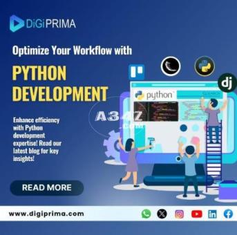 How to Utilize Python Software Development Services?