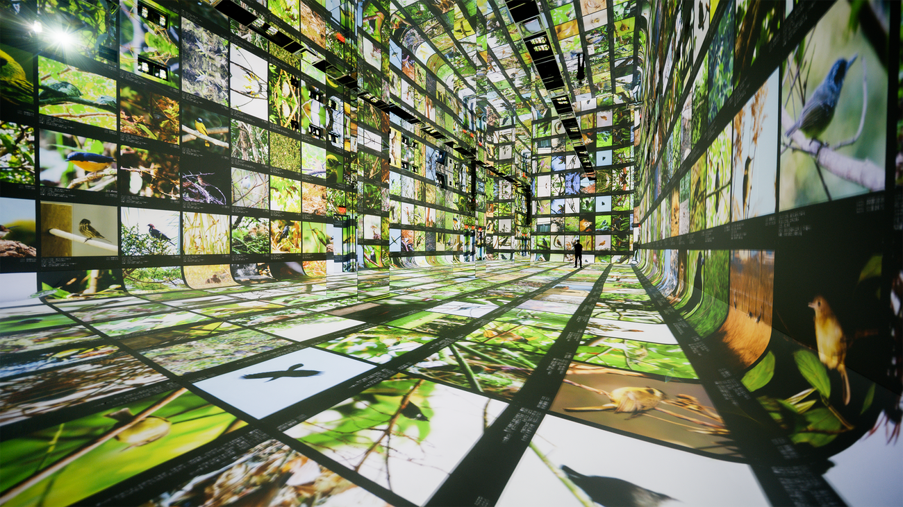 Exploring Dataland: The First Museum Dedicated to AI Art