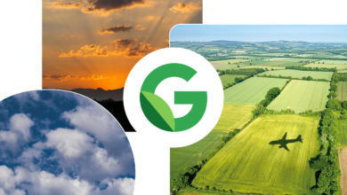 Google and American Airlines: A Major Step Towards Sustainable Aviation Fuel