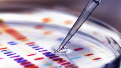 Revolutionizing Healthcare: Google's AI Innovations in Disease Research